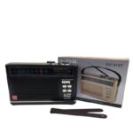 رادیو اسپیکر کلاسیک SAMWAVE مدل SW-91BT بلوتوث‌دار