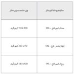 مایو شنا مردانه اسپیدو (فوق سایز) - Image 6